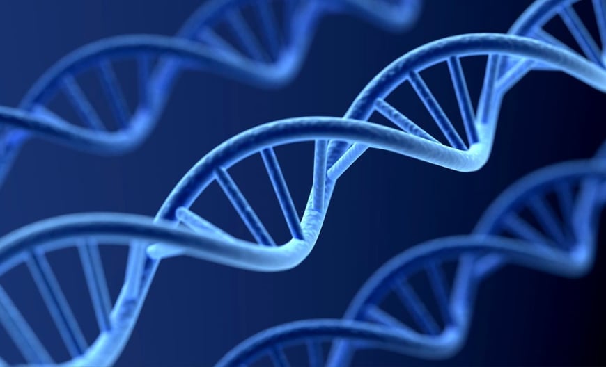 What Is the Genome and Why Is It So Important to Your Health and Longevity?